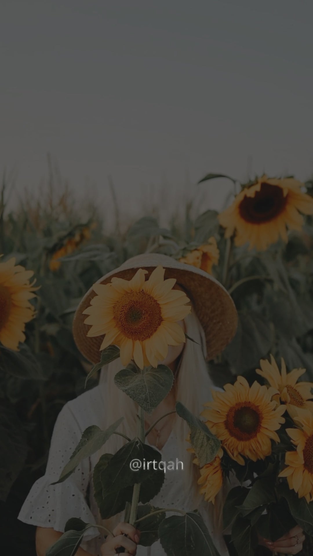 The Golden Solstice | Hand-Crocheted Everlasting Sunflower